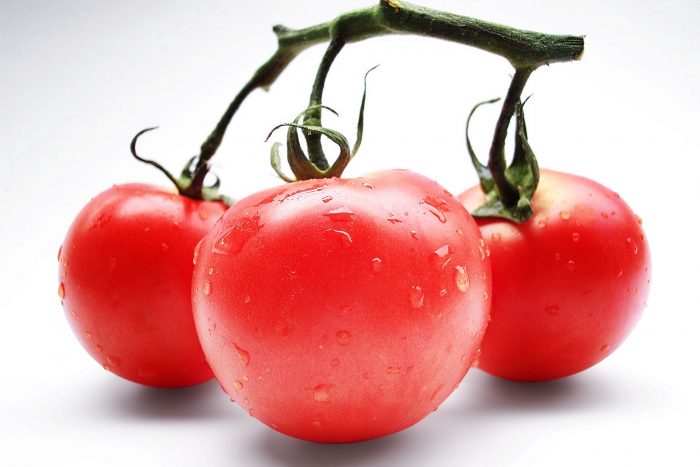 Nawadnianie pomidorów